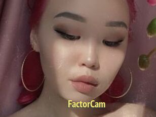 FactorCam