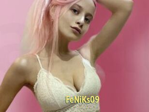 FeNiKs09