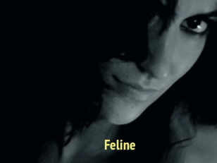 Feline