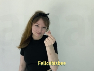 Felicebisbee
