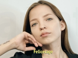 Felicecage