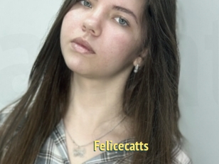 Felicecatts