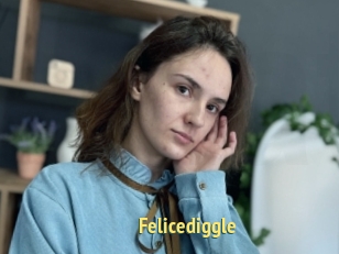 Felicediggle