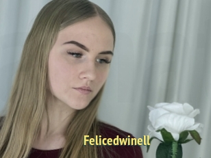 Felicedwinell