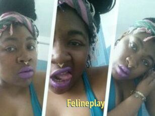 Felineplay