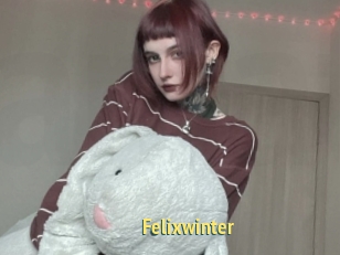 Felixwinter