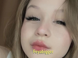 Feyabigger