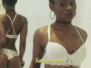 Gatubela_masc