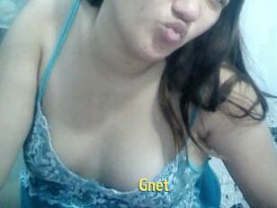 Gnet