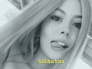 Gallibarbara