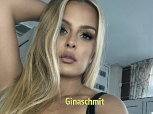 Ginaschmit