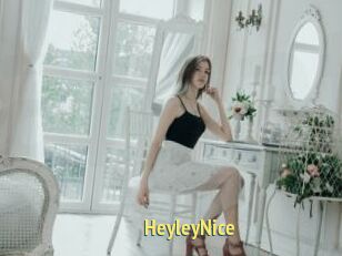 HeyleyNice