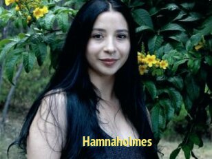 Hamnaholmes