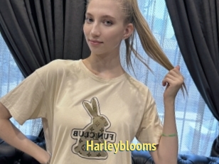 Harleyblooms