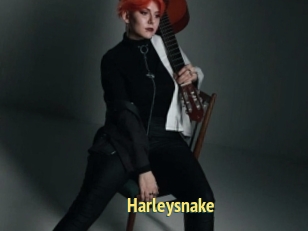 Harleysnake