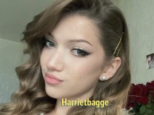 Harrietbagge