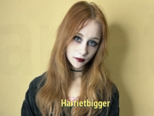 Harrietbigger