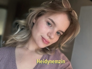 Heidynemzin