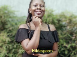 Hildaspaces