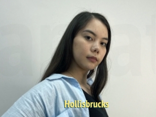 Hollisbrucks
