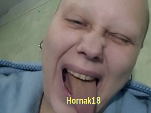 Hornak18
