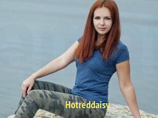 Hotreddaisy