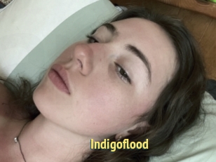 Indigoflood