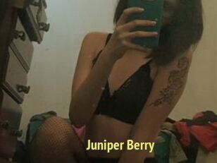 Juniper_Berry