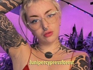 Junipercypressforest