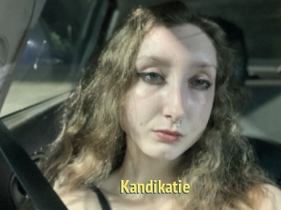 Kandikatie