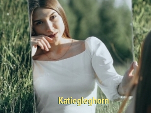 Katiegleghorn