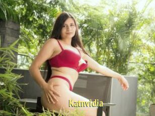 Katnvidia