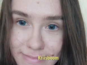 Kriisboom