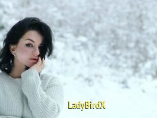 LadyBirdX