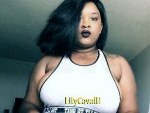 Lily_Cavalli
