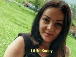 Little_Bunny_