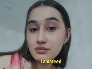 Lamareed