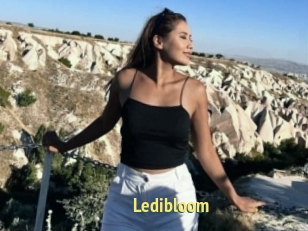 Ledibloom