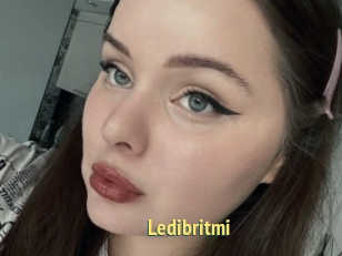 Ledibritmi