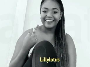 Lillylotus