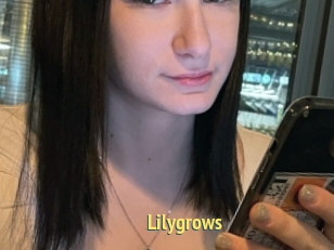 Lilygrows