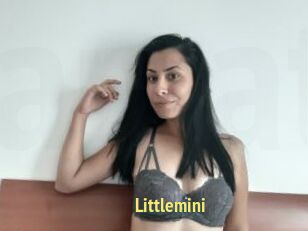 Littlemini