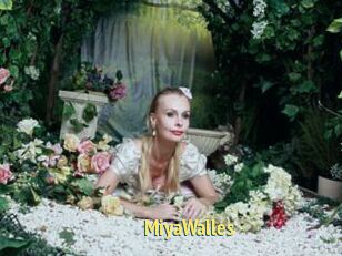 MiyaWalles