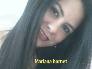 Mariana_hornet