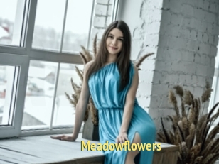 Meadowflowers