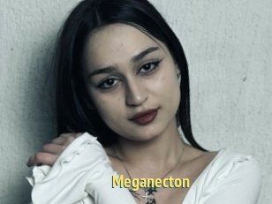 Meganecton