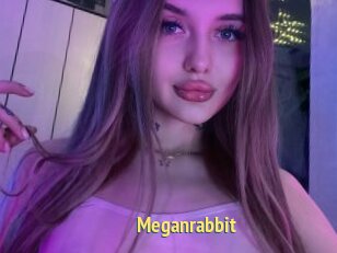 Meganrabbit
