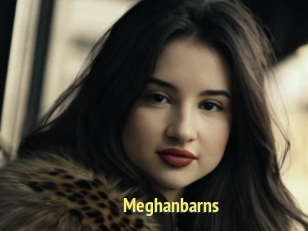 Meghanbarns