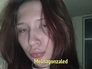 Melisagonzaled