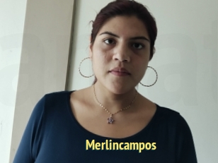Merlincampos